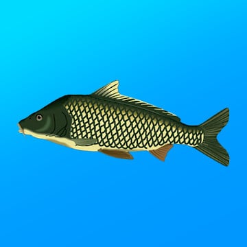Cover Image of True Fishing v1.15.0.705 MOD APK + OBB (Premium/Unlimited Money)